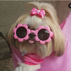 Meet your Posher, Ariana